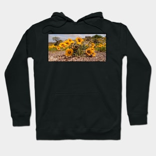 Australian Wild Flowers #2 Hoodie